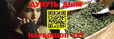 гашик Шелехов