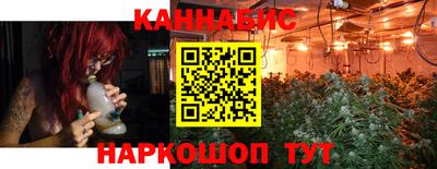 индика Шебекино