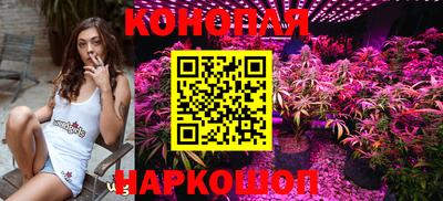 индика Шебекино