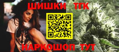 гашик Шелехов