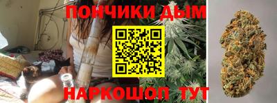 гашик Шелехов
