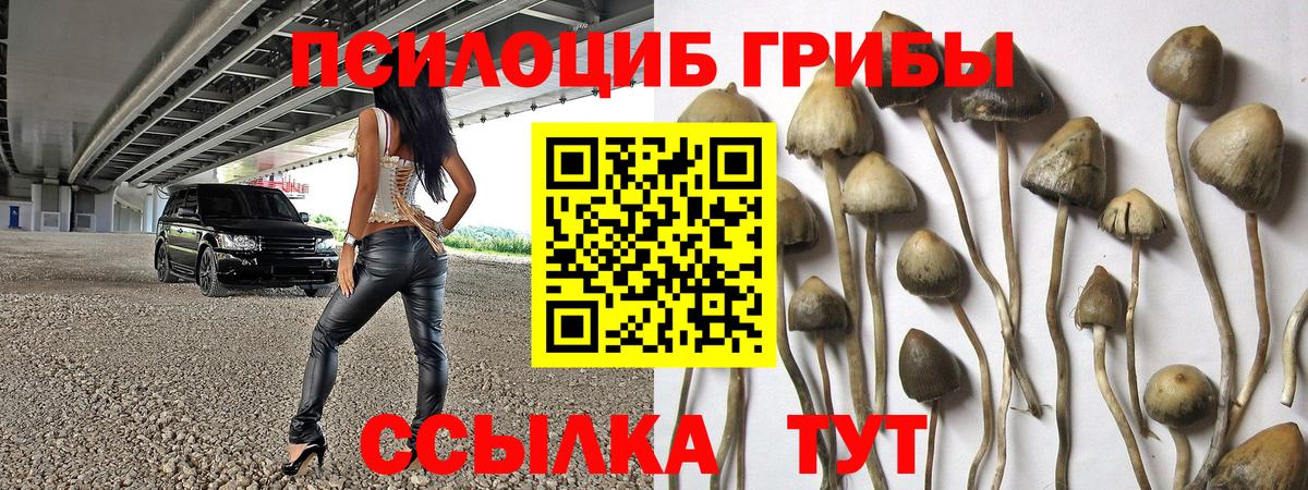 Псилоцибиновые грибы прущие грибы  Вход с VPN  Серов 