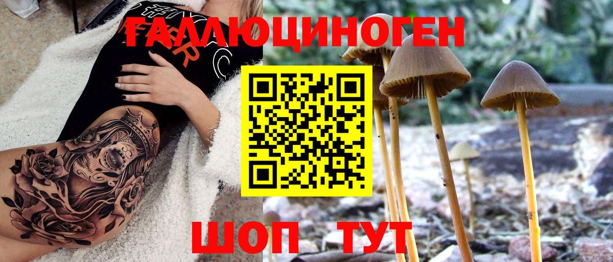 Псилоцибиновые грибы Magic Shrooms Серов